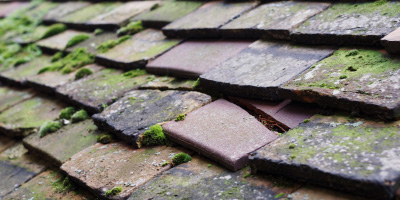 Chicheley roof repair costs